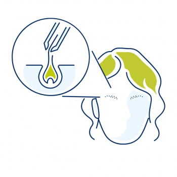 Colic Hospital - Eye Brow Transplant 