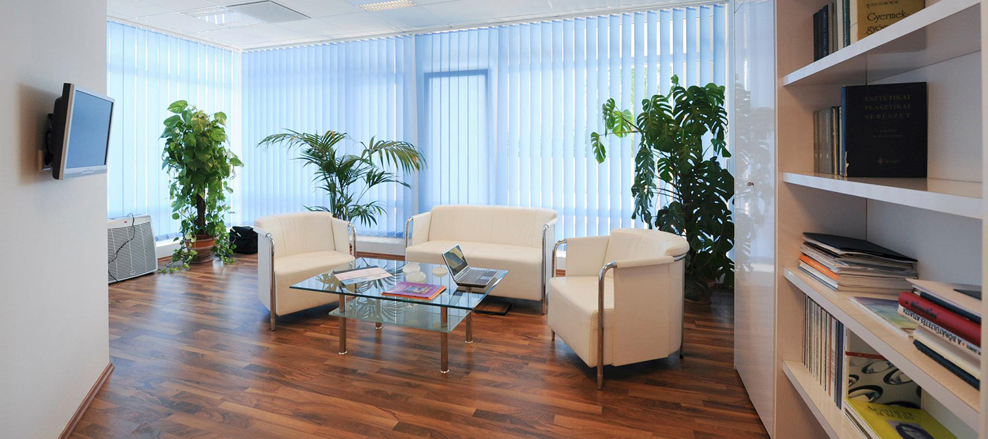 Aesthetic Plastic Surgery Clinic